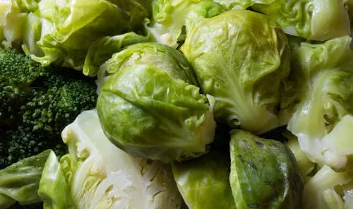 Top 6 Plant-Based Omega-3 Sources Every Vegetarian Should Know