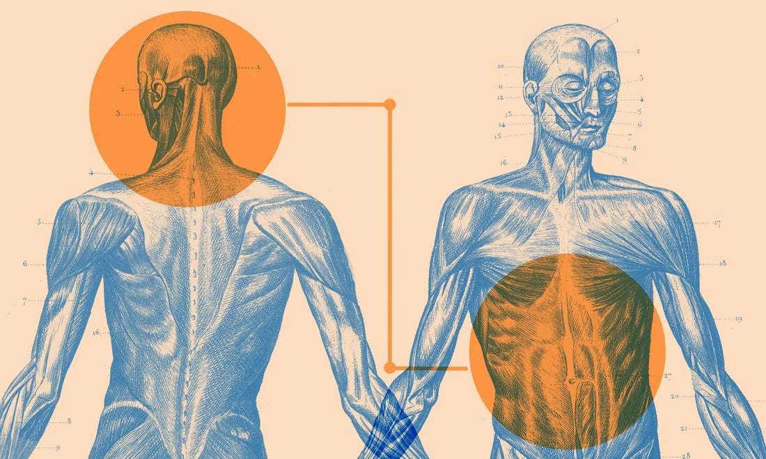 Why Scientists Call Your Gut the Second Brain