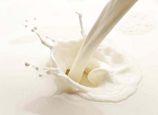 Colostrum: The Superfood for Immunity, Gut Health, and Longevity