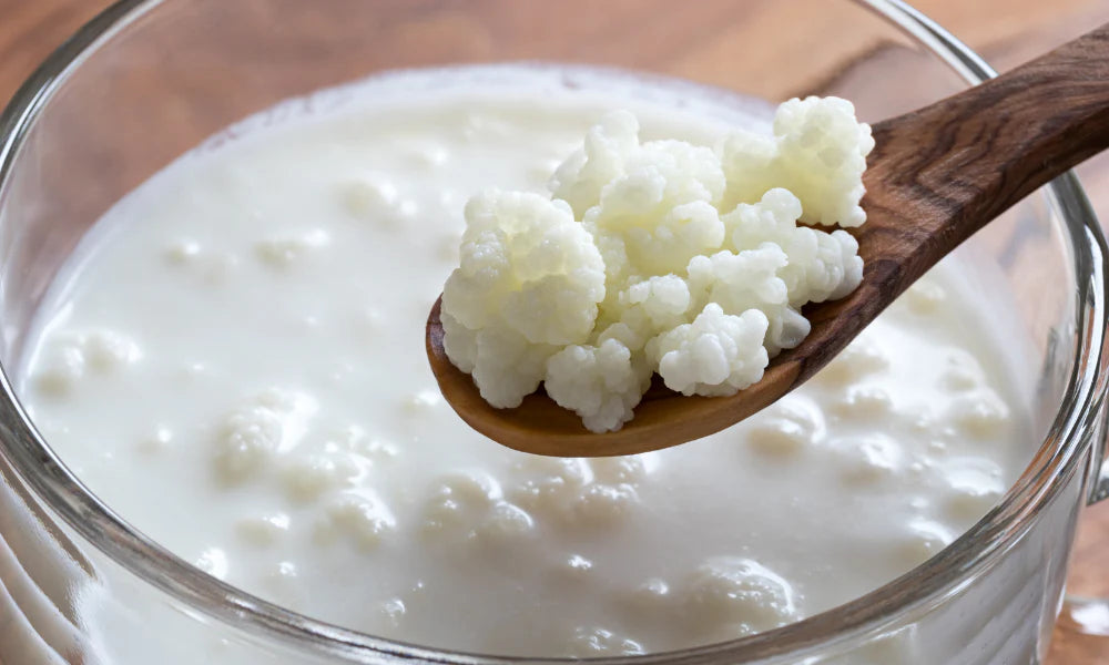 The Fermented Foods Your Gut Will Thank You For