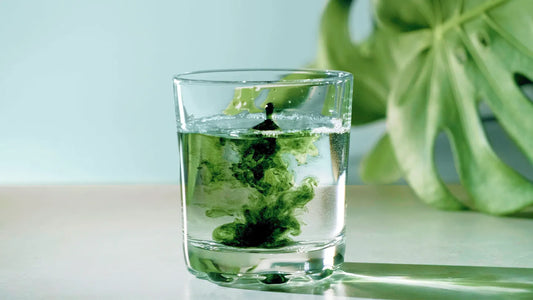 Why Liquid Chlorophyll Is Trending Right Now?