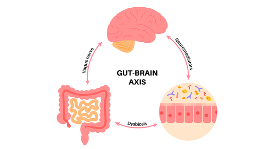 Mood by Microbes: Gut-Brain Axis is Shaping Personalized Mental Wellness