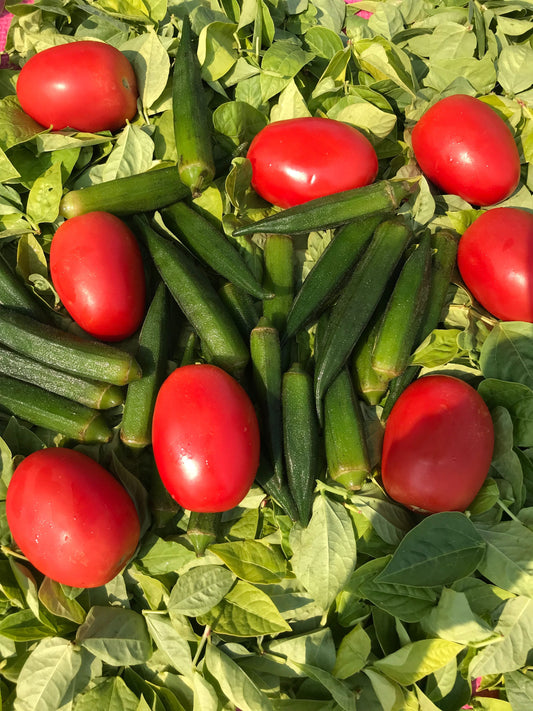 Why Everyone Is Drinking Okra Water for Better Digestion and Hydration