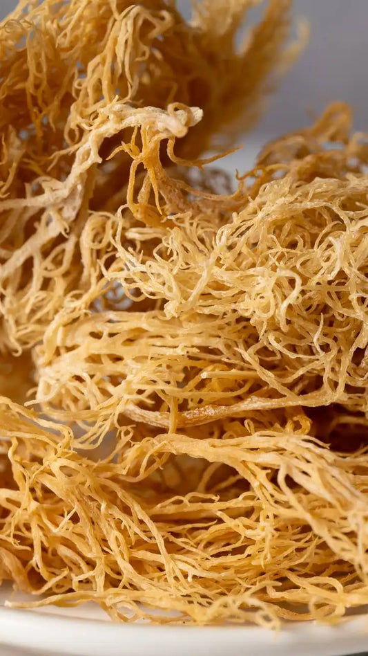 Can Sea Moss Really Help You Dodge Winter Flu?