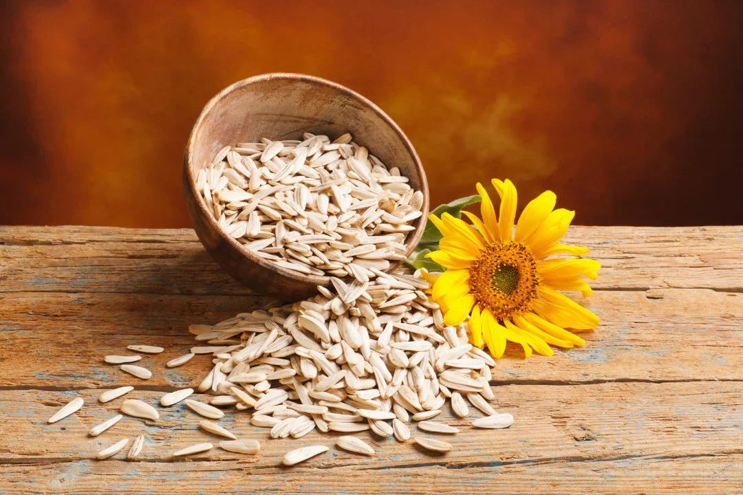 The Underrated Protein Powerhouse Hiding in Your Pantry