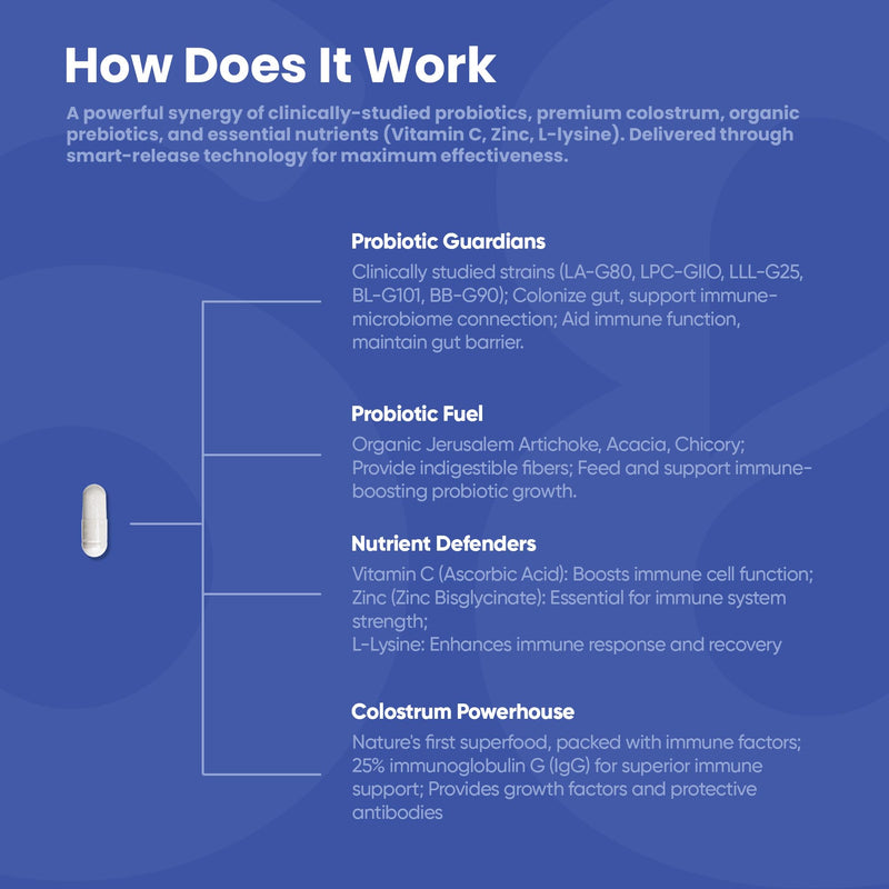 Herbal Daily Wellness Capsules – Probiotic & Herbal Blend, 60 Veg Caps